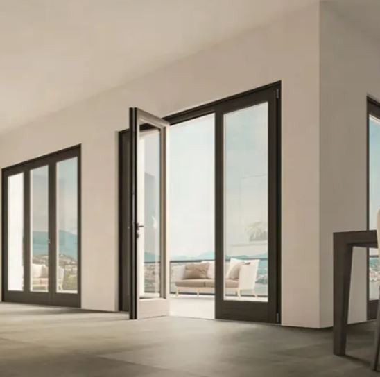 Black Hinged Glass Door